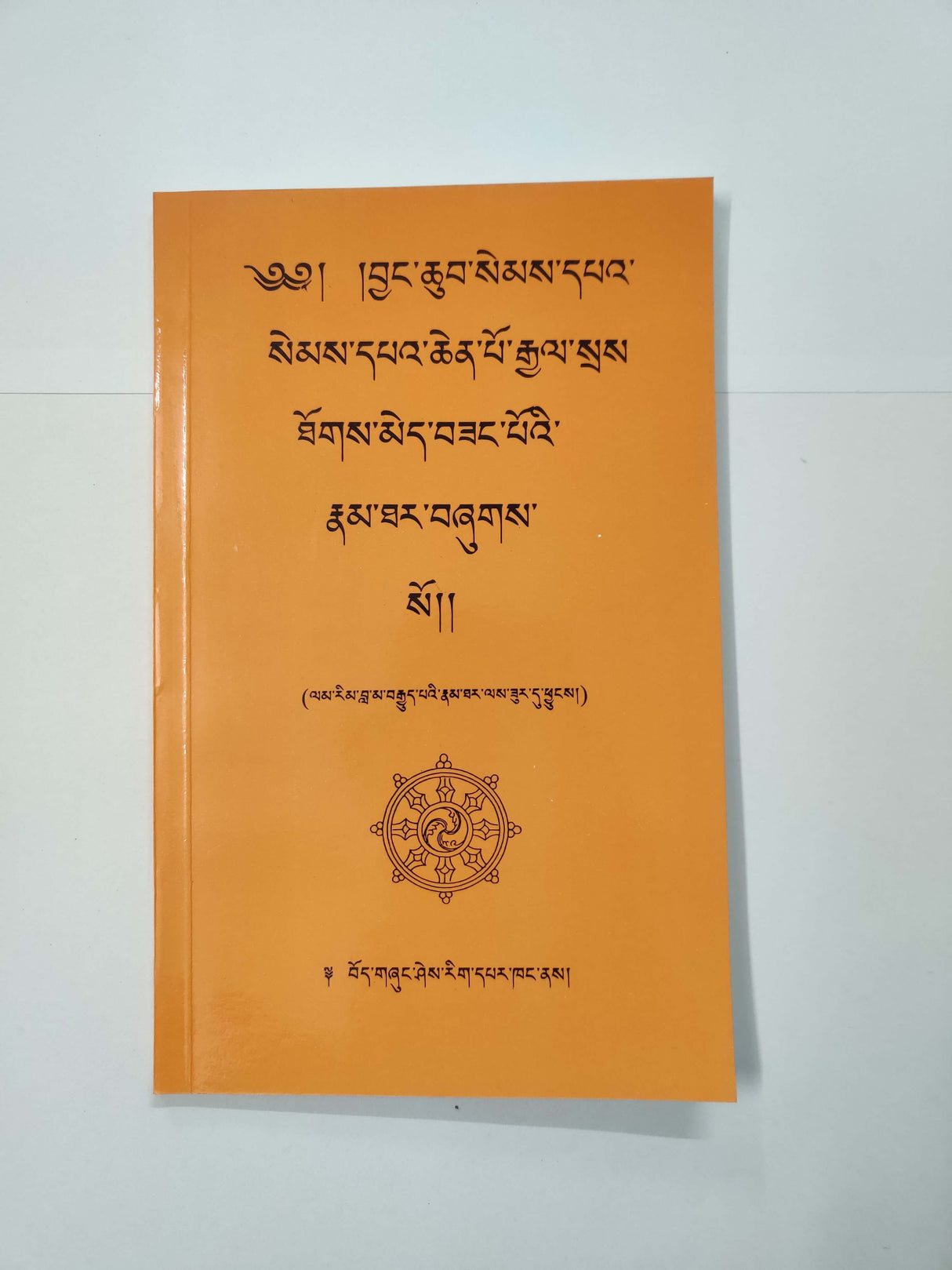 Gyalse Thokme Sangpoe Namthar | རྒྱལ་སྲས་ཐོགས་མེད་བཟང་པོའི་རྣམ་ཐར།