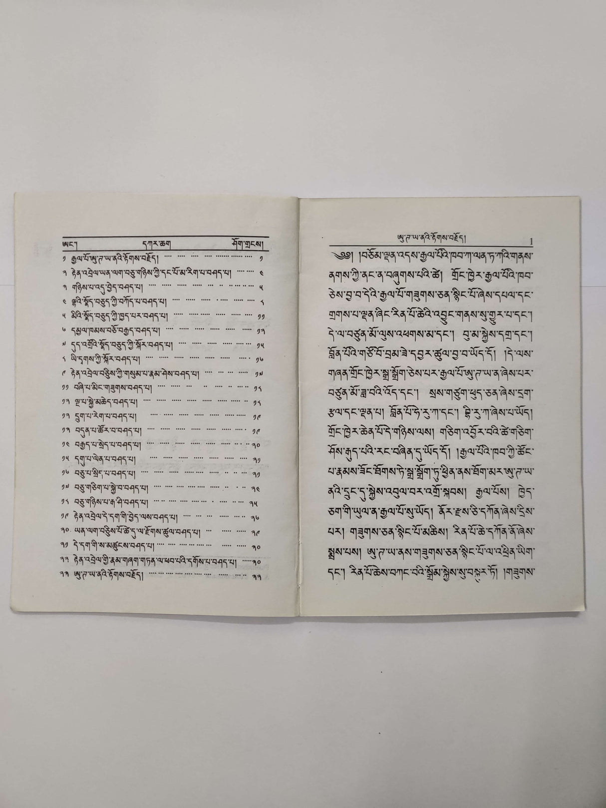 Gyalpo Uttaya-Nath Kyi Tokjoe | རྒྱལ་པོ་ཨུ་ཌ་ཡ་ནའི་རྟོགས་བརྗོད།Gyalpo Uttaya-Nath Kyi Tokjoe | རྒྱལ་པོ་ཨུ་ཌ་ཡ་ནའི་རྟོགས་བརྗོད།