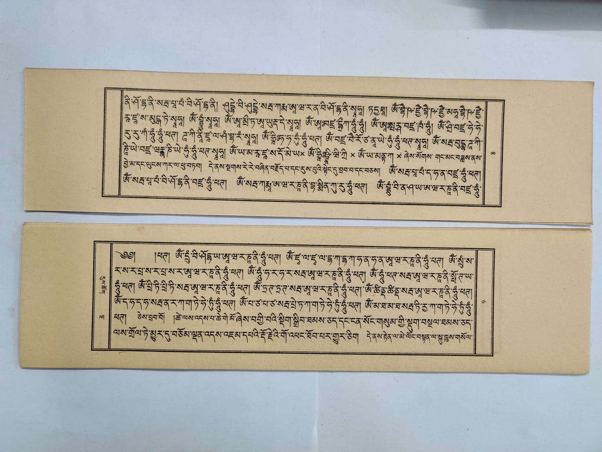 Jigchey Kyi Gone Ruchok | འཇིགས་བྱེད་ཀྱི་སྒོ་ནས་རུ་ཆོག།