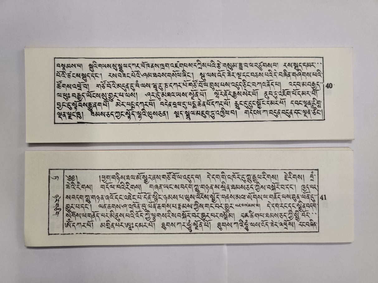 Sadhag Dhondrol | ས་བདག་གདོན་སྒྲོལ།