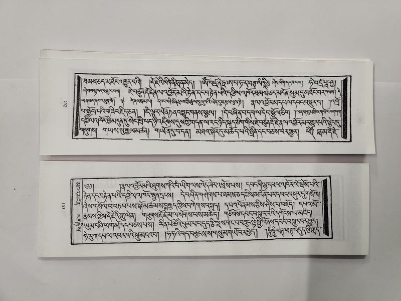 Neljorme Dhakjuk | རྣལ་འབྱོར་མའི་བདག་འཇུག།