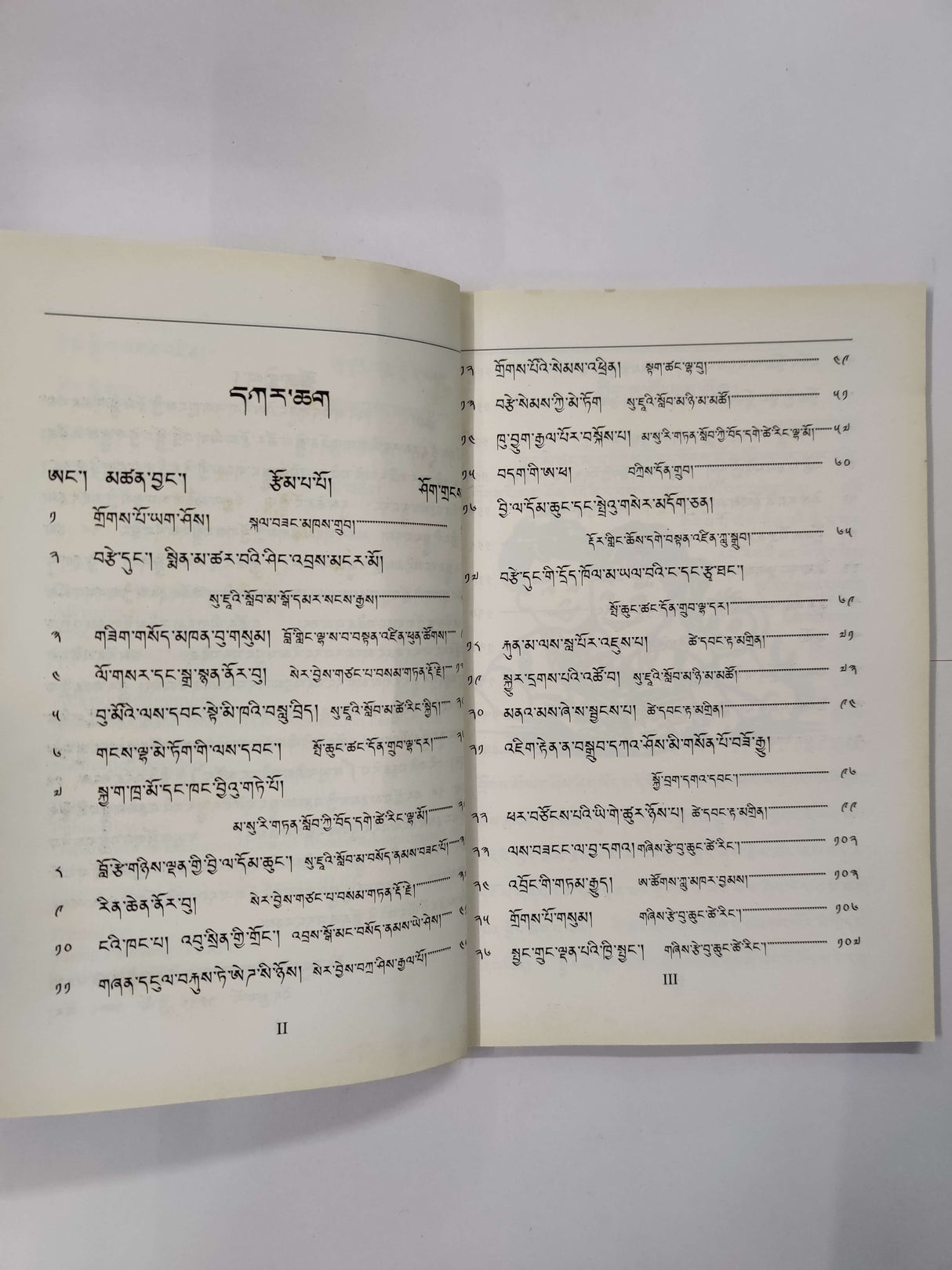 TSAMDUNG CHOKDIK | བརྩམས་སྒྱུང་ཕྱོགས་བསྒྲིགས།