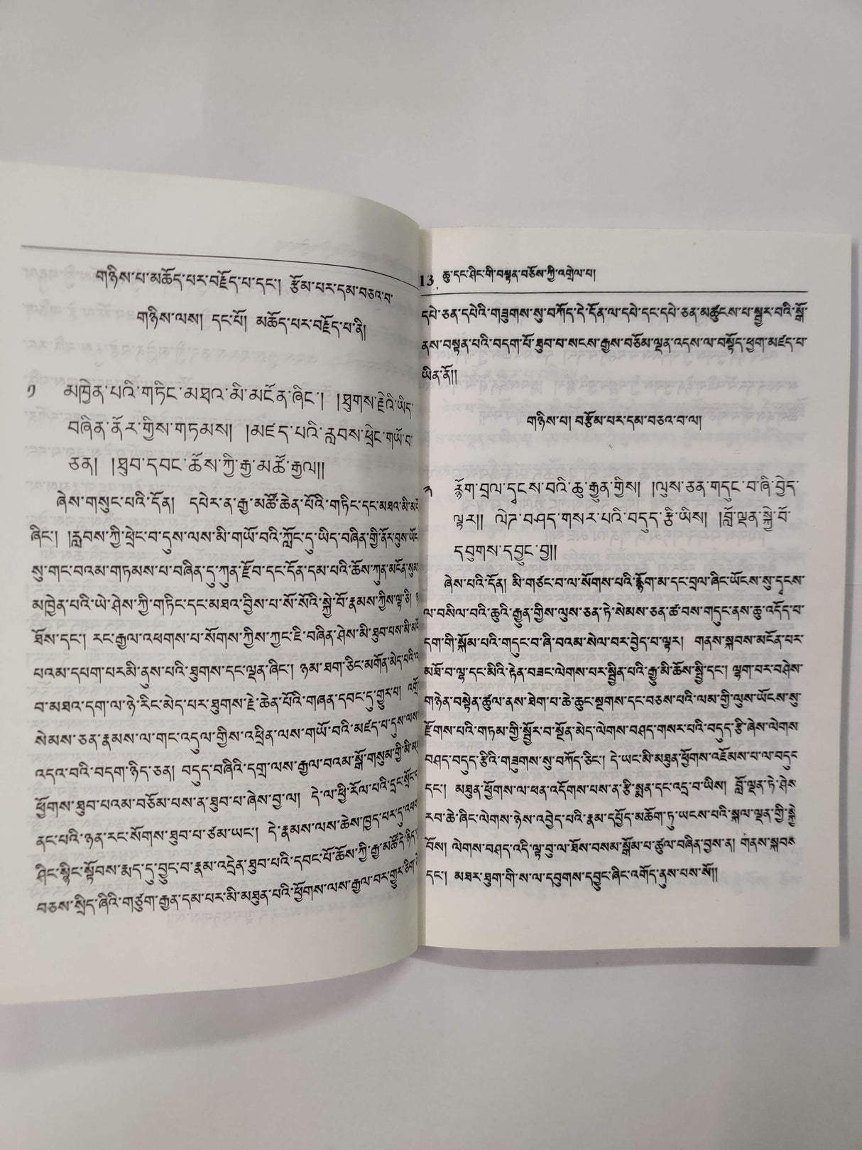 CHU-SHING TENCHOE TSADREL | ཆུའི་ཤིང་བསྟན་བཅོས་རྩ་འགྲེལ་