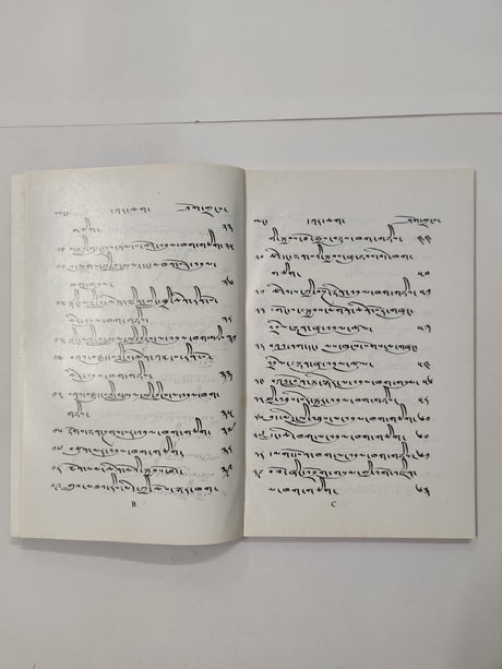 Yigkur Namshak Chungwa | ཡིག་བསྐུར་རྣམ་གཞག།