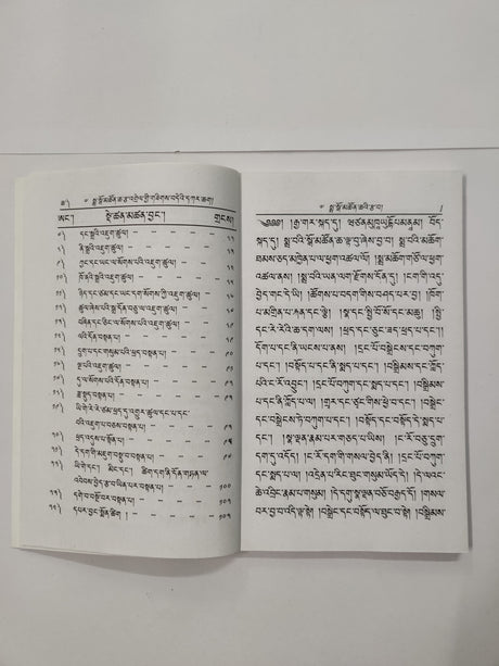 Dhakyik Mago Tsonche Tssawa & Rangdrel 2 | དག་ཡིག་སྨྲ་སྒོ་མཚོན་ཆའི་རྩ་བ་དང་རང་འགྲེལ་གཉིས།