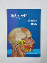 Human Body | མིའི་ལུས་པོ།