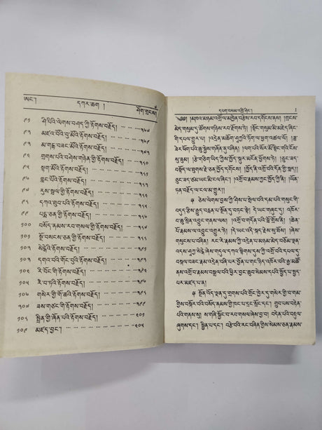 Gyalpo Uttaya-Nath Kyi Tokjoe | རྒྱལ་པོ་ཨུ་ཌ་ཡ་ནའི་རྟོགས་བརྗོད།