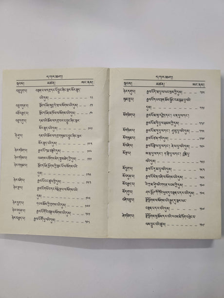 Tara Nathe Gyagar Choechung | ཏཱ་ར་ནཱ་ཐའི་རྒྱ་གར་ཆོས་འབྱུང་།