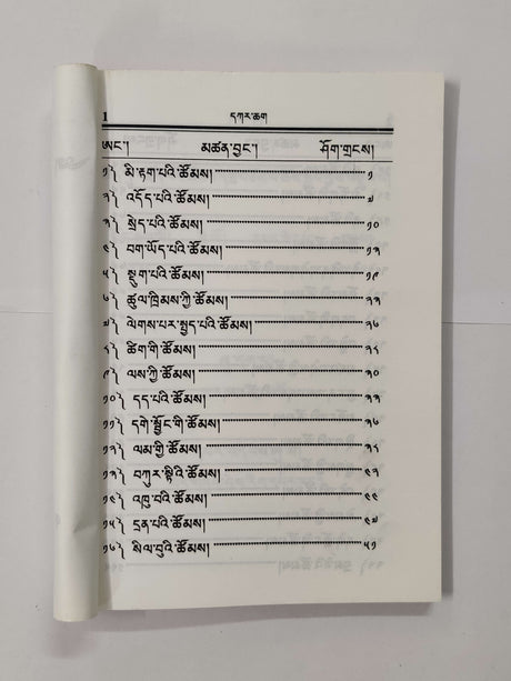 CHETU JOEPE TSOM | ཆེད་དུ་བརྗོད་པའི་ཚོམས།