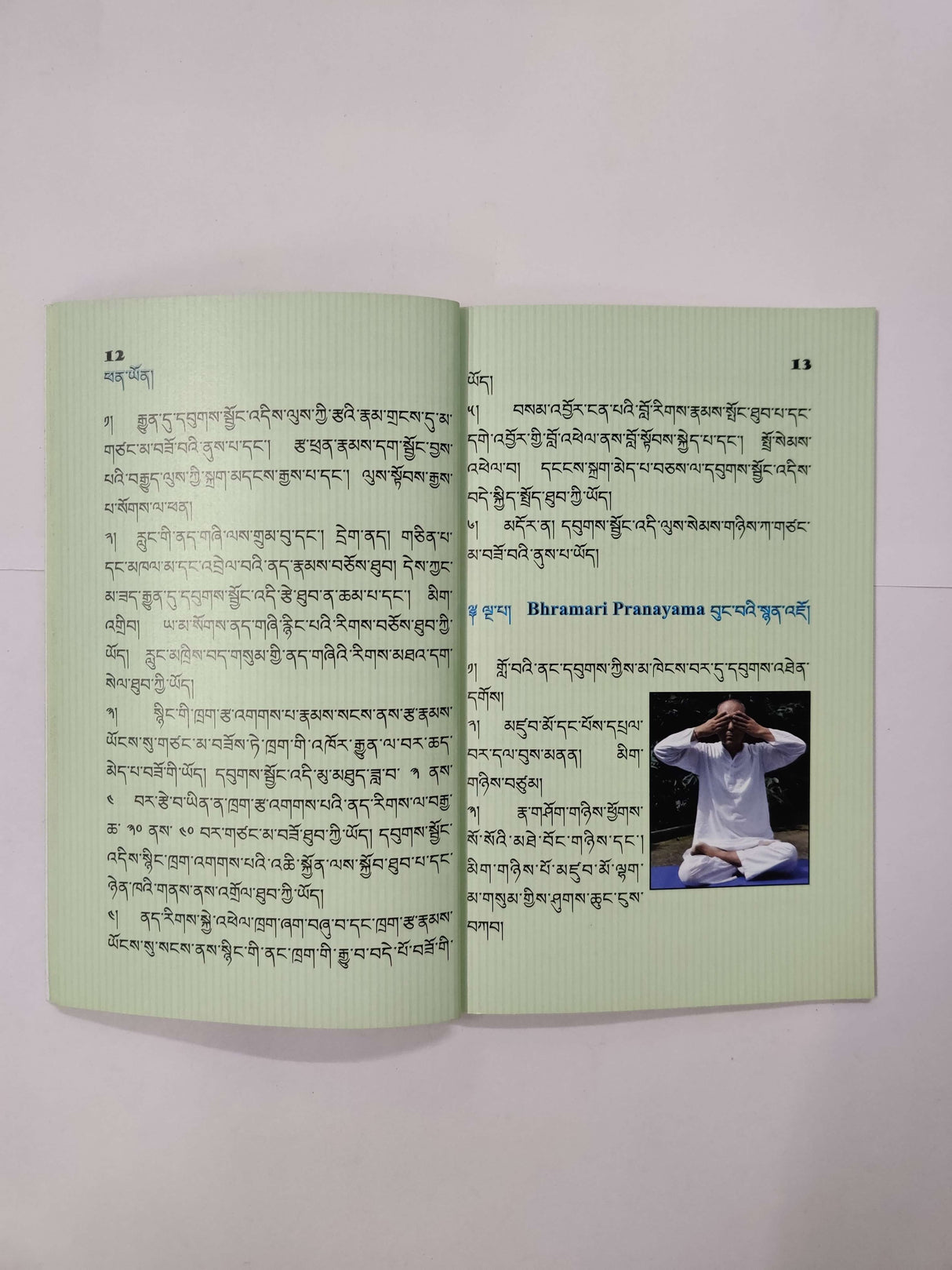 YOGA BOOK