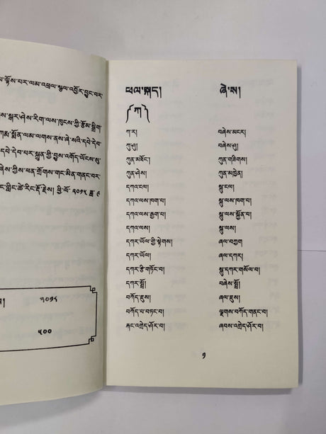 SHESEY NYINGCHUE LOSAR ZUMSHEL | ཞེ་སའི་སྙིང་བཅུད་བློ་གསར་འཛུམ་ཞལ།།